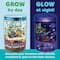 12 Pack: Creativity for Kids® Grow N' Glow Terrarium